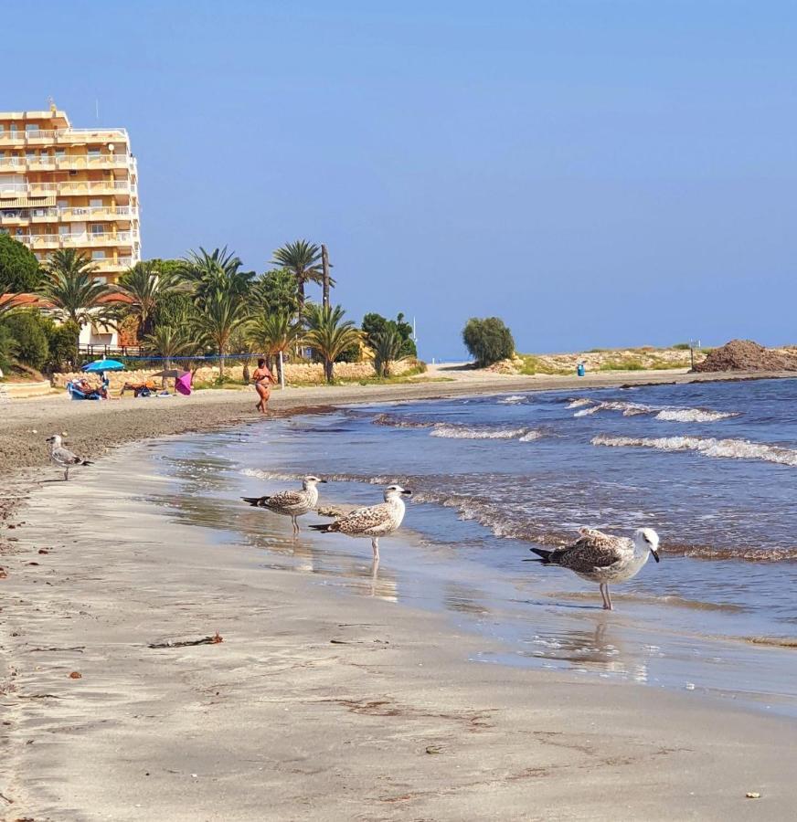 Sunflower Residence First Line By The Sea سانتا بولا المظهر الخارجي الصورة